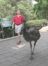 Strolling-with-Emu-3216